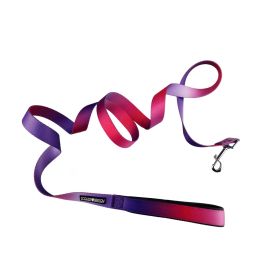 American River Ombre Leash (Color: Raspberry Sundae, Size: 5/8 inches wide x 4 feet long)