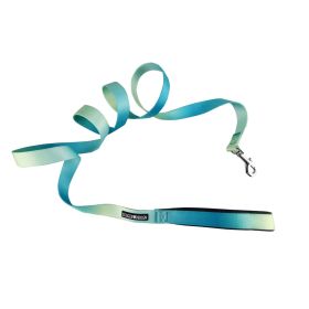American River Ombre Leash (Color: Aruba Blue, Size: 1 inch wide x 6 feet long)