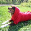 Flex-Fit Dog Hoodie